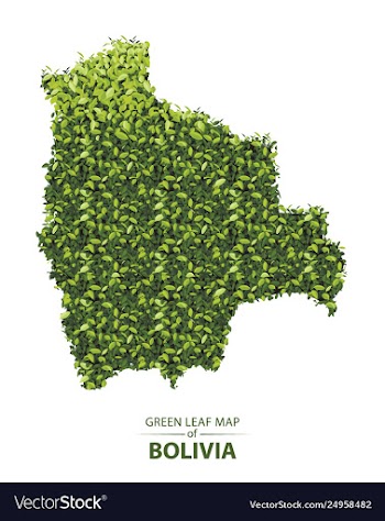  					Green leaf map bolivia a vector&nbsp;image														