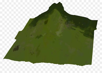 Green Leaf Object Attribute Texture mapping - leaf 