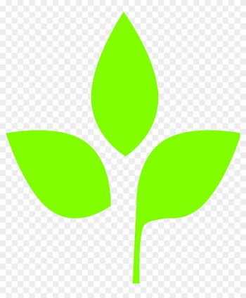Green Leaf Oval Vector Graphic On Pixabay - Leaf Icon Png