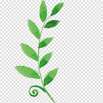 Green leaf painting, Watercolor painting Drawing Flower, Hand-painted flowers,Beautiful,watercolor,Oil painting effect,Flowers,Leaves transparent background PNG clipart