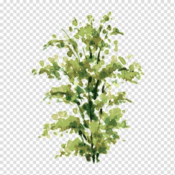 Green leaf painting, Watercolor painting Shrub Drawing Illustration, tree,Trees transparent background PNG clipart