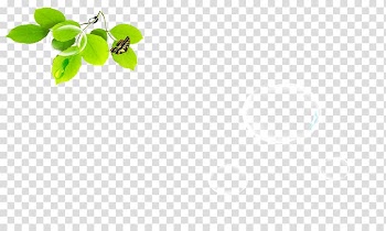Green Leaf Pattern, Leaves transparent background PNG clipart