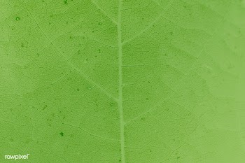 Green leaf pattern textured backdrop | Free  illustration - 2337218
