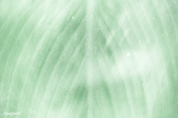Green leaf pattern textured backdrop | Free  illustration - 2337220