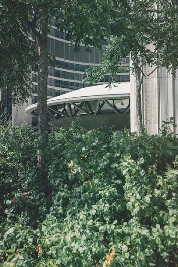Green Leaf Plant and Tree Near White Building at Daytime