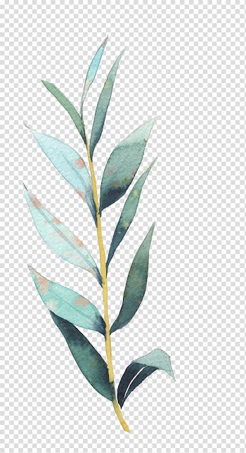 Green leaf plant , Drawing Art illustration Illustration, plant transparent background PNG clipart