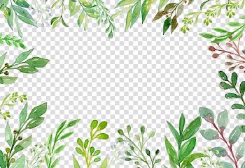 Green leaf plant illustration, Green Plant Euclidean Vecteur, Green summer plant hand-painted border transparent background PNG clipart