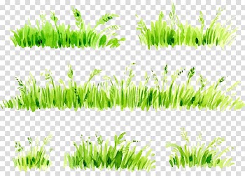 Green leaf plant illustration, Watercolor painting , Watercolor painted grass transparent background PNG clipart