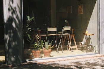 Green Leaf Plant in Brown Pot