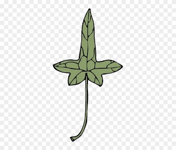 Green, Leaf, Plant, Medical, Ivy, Chlorophyll, Herb - Clip Art