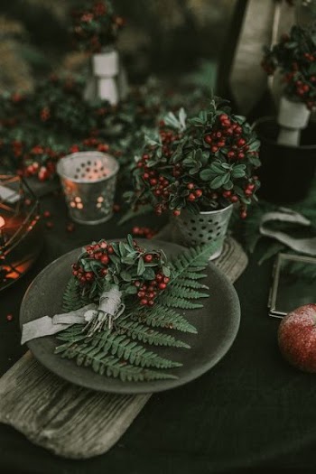 green leaf plant on gray plate