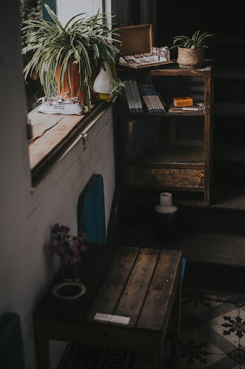 Green-leaf Plant on Wall Near the Table in Room