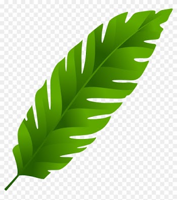 Green Leaf Png Clip Art - Green Leaf Png Clip Art