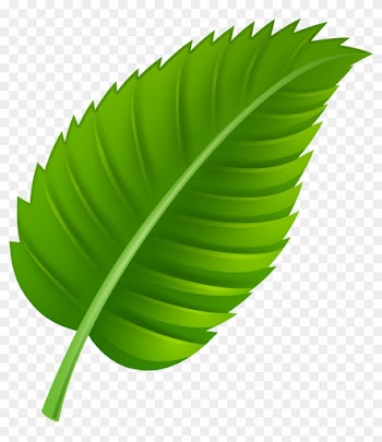 Green Leaf Png Clip Art - Leaf Clipart Png