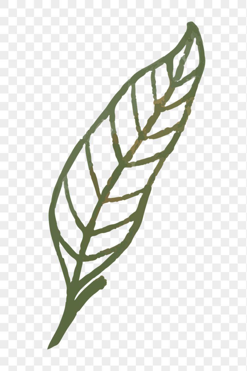 Green leaf png doodle botanical | Free PNG - rawpixel
