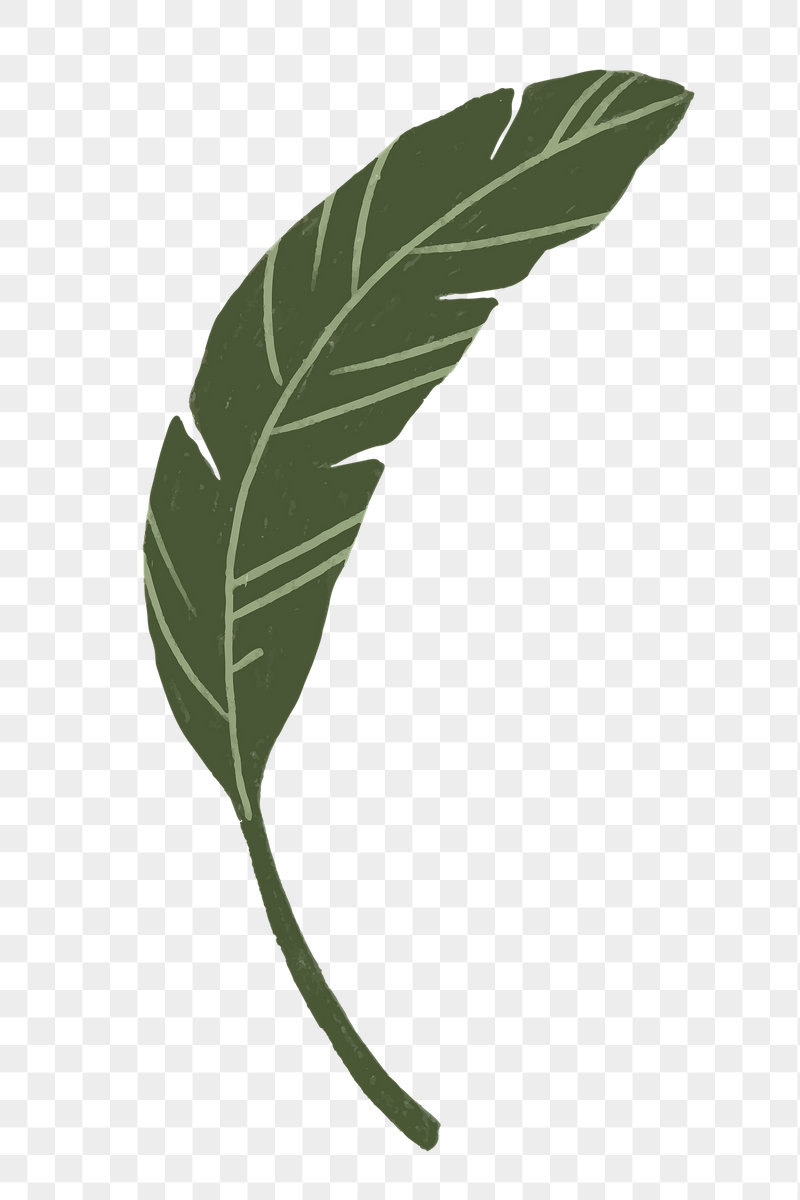 Green leaf png doodle botanical | Free PNG - rawpixel