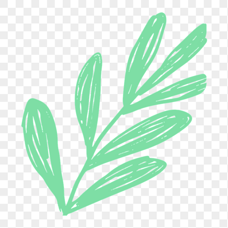 Green leaf png doodle botanical | Free PNG - rawpixel