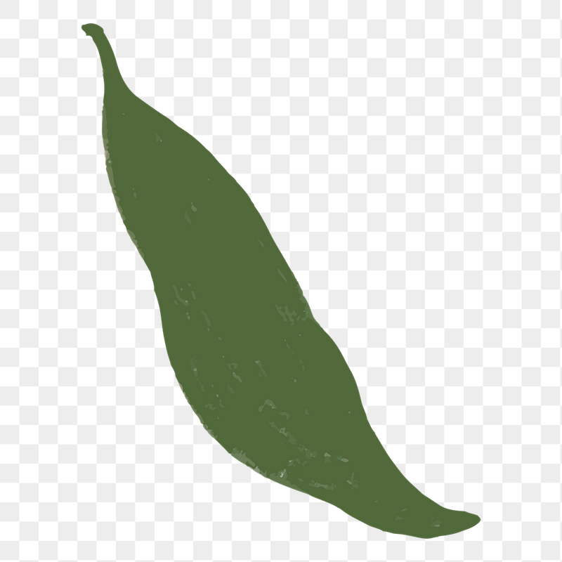 Green leaf png sticker, botanical | Free PNG - rawpixel