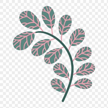 Green leaf png sticker, nature | Free PNG Sticker - rawpixel