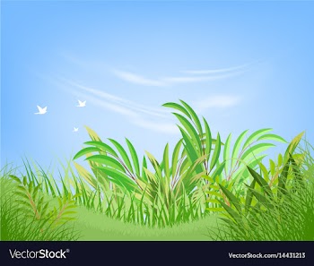 Green leaf scene vector image