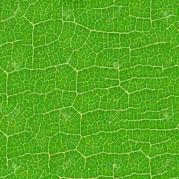 Green Leaf Seamless Pattern - Texture Background For Continuous ...