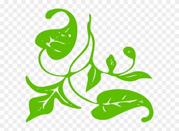 Green Leaf Single Png