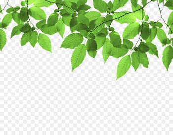 Green Leaf Stock photography - Green leaf frame 