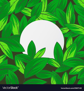 Green leaf texture with white paper scenn vector image