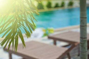 Green Leaf Tree
