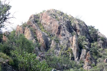 Green Leaf Trees Near Mountain at Daytime