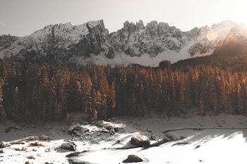 green leaf trees near snow covered mountains at daytime