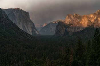 green leaf trees with rocky mountain background under gray sky