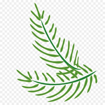 Green Leaf Twig Arecaceae - Easter palm leaves 