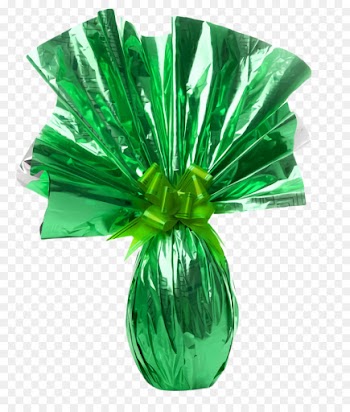 green leaf vase grass plant