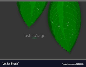 Green leaf vector image