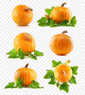 Green Leaf Vegetal Yellow Legume - pumpkin 