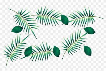 Green Leaf Watercolor Painting - Banana Leaf Watercolour Png