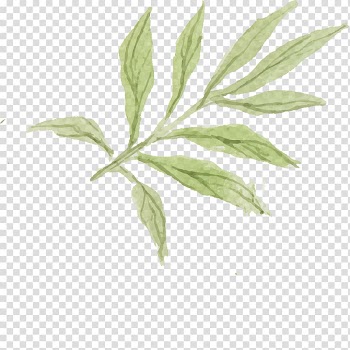 Green leaf , Watercolor painting Flower Drawing, Hand-painted flowers,Beautiful,watercolor,Oil painting effect,Flowers,Leaves transparent background PNG clipart