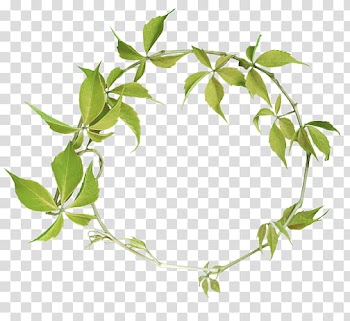 , green leaf wreath transparent background PNG clipart