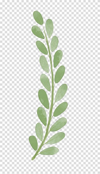 Green leafed , Branch , Watercolor leaves transparent background PNG clipart