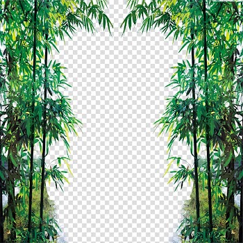Green leafed plant frame art, Euclidean Icon, Bamboo Fam transparent background PNG clipart