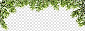 Green leafed plant frame illustration, leaves transparent background PNG clipart