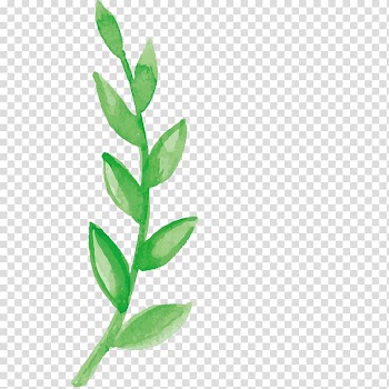 Green leafed plant illustration, Flower Branch Watercolor painting Illustration, Hand-painted flowers,Beautiful,watercolor,Oil painting effect,Flowers,Leaves transparent background PNG clipart