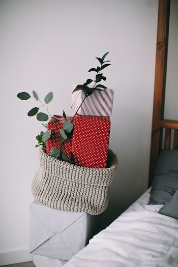 Green-leafed Plant in Gray Knitted Container