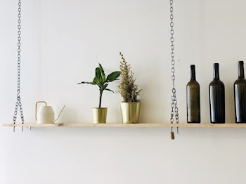 Green-leafed Plant in Pots on Shelf