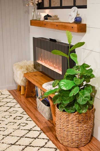 Green Leafed Plant In Wicker Pot 