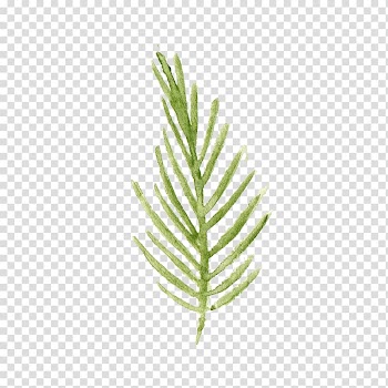 Green leafed plant, Leaf Watercolor painting, Green and fresh leaves transparent background PNG clipart