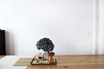 green leafed plant on tray