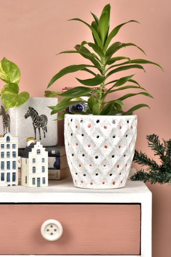 Green-leafed Plant on White Pot
