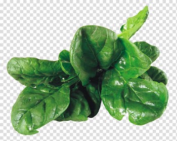 Green leafed plant, Spinach salad Vegetarian cuisine Vegetable , Spinach transparent background PNG clipart